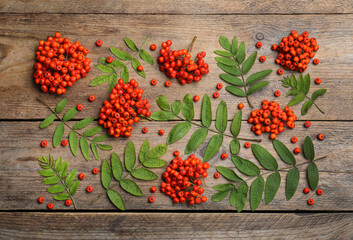 Fresh ripe rowan berries and green leaves on wooden table, flat lay