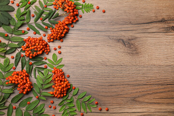 Fresh ripe rowan berries and green leaves on wooden table, flat lay. Space for text - obrazy, fototapety, plakaty