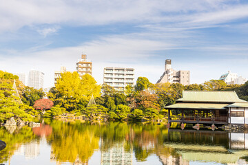 秋の清澄庭園
