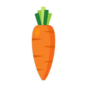 carrot vector illustration royalty free flat logo icon clipart