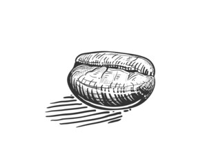 Hand drawn sketch black and white of coffee beans, seeds. Vector illustration. Elements in graphic style label, card, sticker, menu, package. Engraved style illustration.