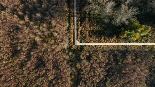 Drone Ascending At The Nature Reserve Of Fagne du Rouge Ponc&eacute; In Saint Hubert, Belgium. Aerial