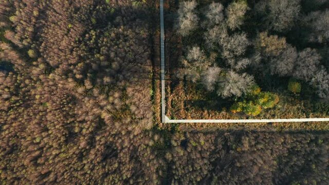 Fagne du Rouge Ponce, Boardwalk At Nature Reserve In Saint Hubert, Belgium. - aerial