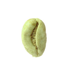 One green coffee bean isolated on white