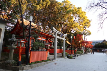 Subordinate Shrines and autumn leaves  in the precincts of Yasaka-jinja Shinto Shrine at Higashiyama in Kyoto City in Japan 日本の京都市東山にある八坂神社境内にある摂社群と紅葉