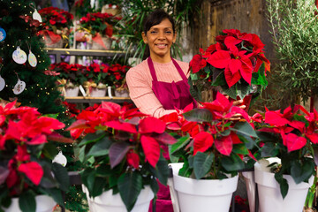 Friendly female flower shop owner offering blooming potted plants Poinsettias pulcherrima for sale