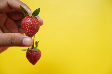 hand holding strawberry