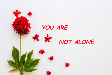 you are not alone message card with red flowers rubiaceae arrangement flat lay postcard style on background white 