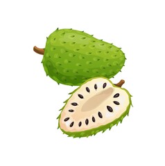 Soursop or sour apple whole and cut isolated tropical fruit. Vector Annona muricata edible fruit, sirsak chirimoya or chirimuya, custard apple with black seeds. Indonesian fruits organic healthy food