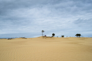 Obraz premium The Big Drift, Wilsons Promomtory, Victoria, Australia, Sand Dunes