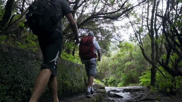 Hikers walk down trail following levada aqueduct in forest of Madeira Portugal