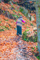 An old peasant woman walking up the hill on red leaves holding on to her walking stick