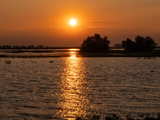 Naklejka premium Sunset at Merced