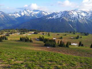 Fototapeta na wymiar Cascade Range from Yakima Park, Mt Rainier National Park