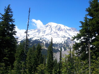 View of Mt Rainier from the scenic byway, Mt Rainier National Park