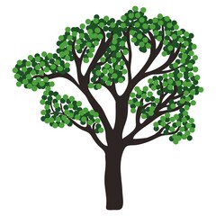 Obraz premium Spring tree and leaves isolated on white