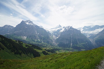 swiss mountains in the summer