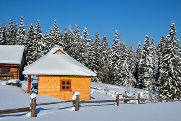Small wooden house covered with fresh fallen snow surrounded with tall pine trees in winter mountains