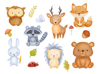 Fototapeta premium Collection of forest animals, mushroom, plant. Watercolor illustration isolated on white background for greeting card, invitation. Cartoon characters bear, hedgehog, owl, raccoon, fox.