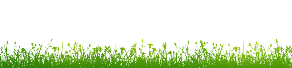 green flowers and grass isolated on white background illustration