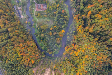 Aerial autumn fall sunrise view of foggy forest in Vilnius, Lithuania