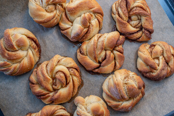 pumpkin cinnamon roll