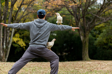 冬の公園で鶏と遊んでヨガをしている男性の姿