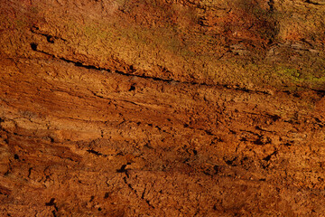 Surface, texture of old wood.