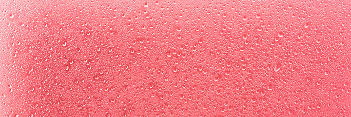 pink background with water drops close-up in banner format