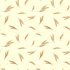 Wheat ears seamless pattern, hand drawn sketch vector background