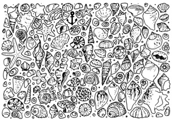 A set of shell doodles, starfish and sea urchin shells. Doodle-style marine large collection of shell stones of various shapes, isolated black outline on white for a summer design template