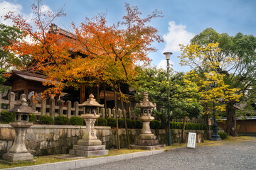 Quiet side road with colourful trees in front of a sanctuary in autumn at Fushimi Inari Taisha shrine in Kyoto, Japan. Language: 'let's keep good manners'  'A dog walk in the sanctuary' 'the office'.