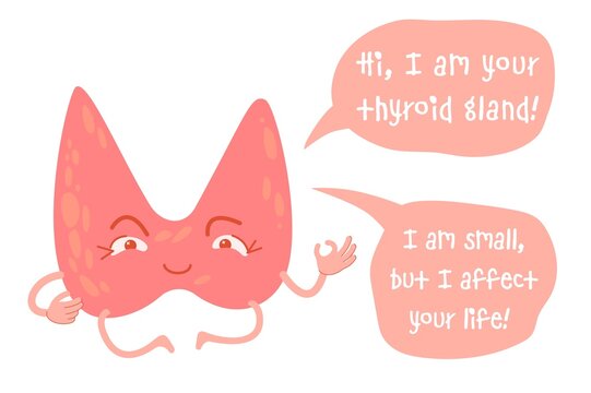Healthy thyroid gland, friendly cute cartoon character. Endocrine system organ. Medical vector illustration