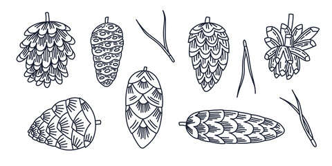 Set of vector contour cones and pine needles. Doodle illustration for coloring, wallpaper, decoration