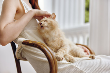 beautiful woman sitting on the terrace with a cat Relaxation concept