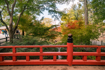 Fushimi Inari Taisha is the head shrine and oldest in Kyoto, Japan. Torii gates winding up Mt Inari are interrupted by a creek and the visitors continue the path over a bridge and through the forest.