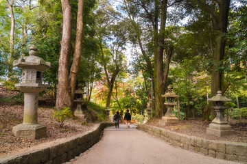 The corridor of vermillion torii gates also known as Senbon Torii winds up Mt Inari. Sometimes the visitors continue the path through the forest. -Fushimi Inari, Kyoto, Japan.