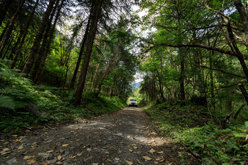Driving off road car in the high altitude mountain forest