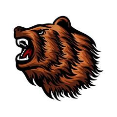 bear head logo