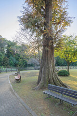 秋の公園とベンチ