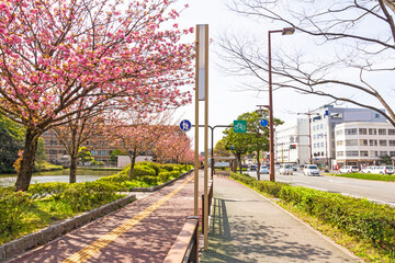 Fukuoka townscape at spring, Kyushu, Japan.