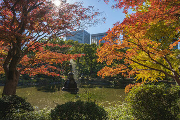 Obraz premium 日比谷公園の紅葉と池と都会のビル群
