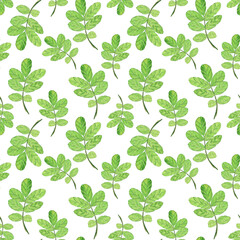Seamless pattern of green leaf rose hip on white background. Watercolor hand drawing illustration. Perfect for textile, wallpaper.