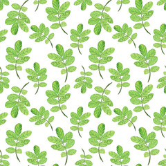 Seamless pattern of green leaf rose hip on white background. Watercolor hand drawing illustration. Perfect for textile, wallpaper.
