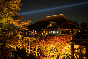 Fototapeta premium Illumination of autumn leaves and Kiyomizu-dera in Kyoto