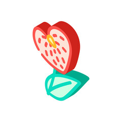 anthurium flower isometric icon vector. anthurium flower sign. isolated symbol illustration