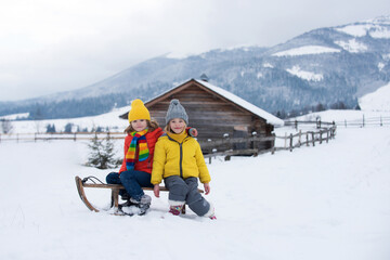 Boy and girl sledding in a snowy forest. Outdoor winter kids fun for Christmas and New Year.