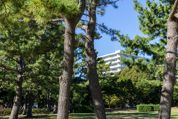 Fototapeta premium 神奈川県横浜市金沢区の海の公園