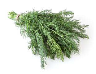Bunch of fresh dill isolated on white background