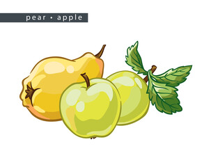 sketch_pear_apple_three_fruits